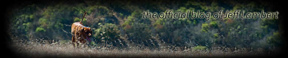 the Official Blog of Jeff Lambert